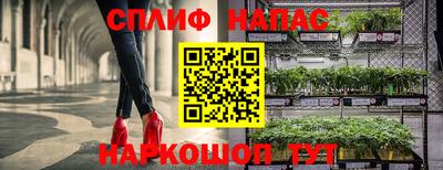 гидра Ковров