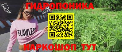 гидропоника Коломна