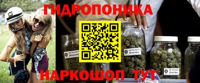 гидра Ковров