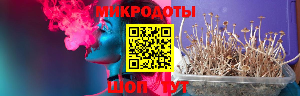 Дальнереченск  Галлюциногенные грибы мухоморы  Псилоцибиновые грибы мицелий  Вход с VPN 